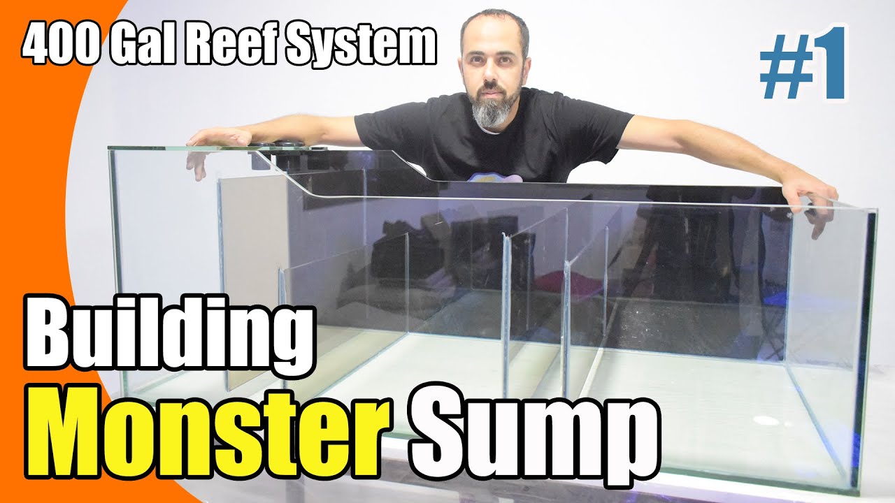 How To Build a Monster Aquarium Sump 60 gallon | Fish Room | 400g Reef System Part 1