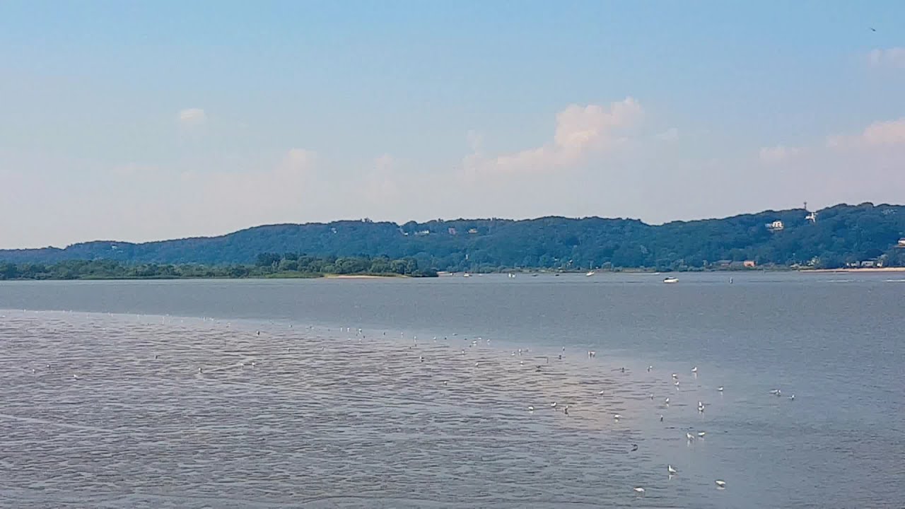Aussicht von Cranz auf die Elbvororte