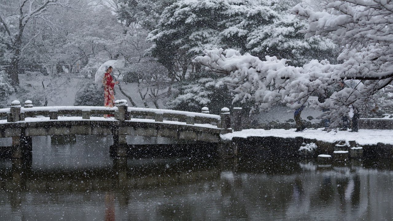 Kyoto Hiking February 8 , 2026 雪の京都を歩く