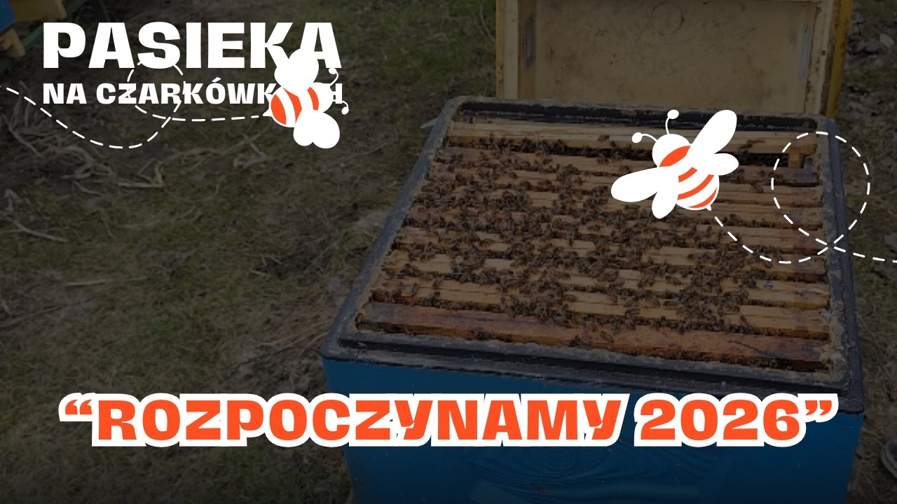 👉 Sezon 2026 rozpoczęty! 🐝 Pierwszy przegląd pasieki po zimie | Pasieka na Czarkówkach