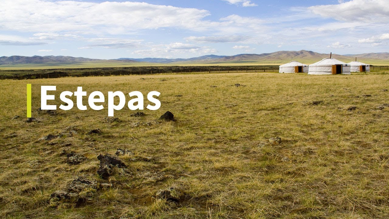 Estepas (ecosistema) | QU&Eacute; SON, CARACTER&Iacute;STICAS, TIPOS, FLORA & FAUNA