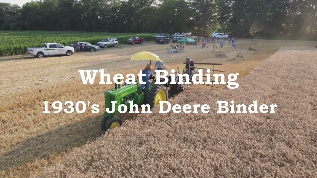John Deere 1930s Wheat Binder In Action