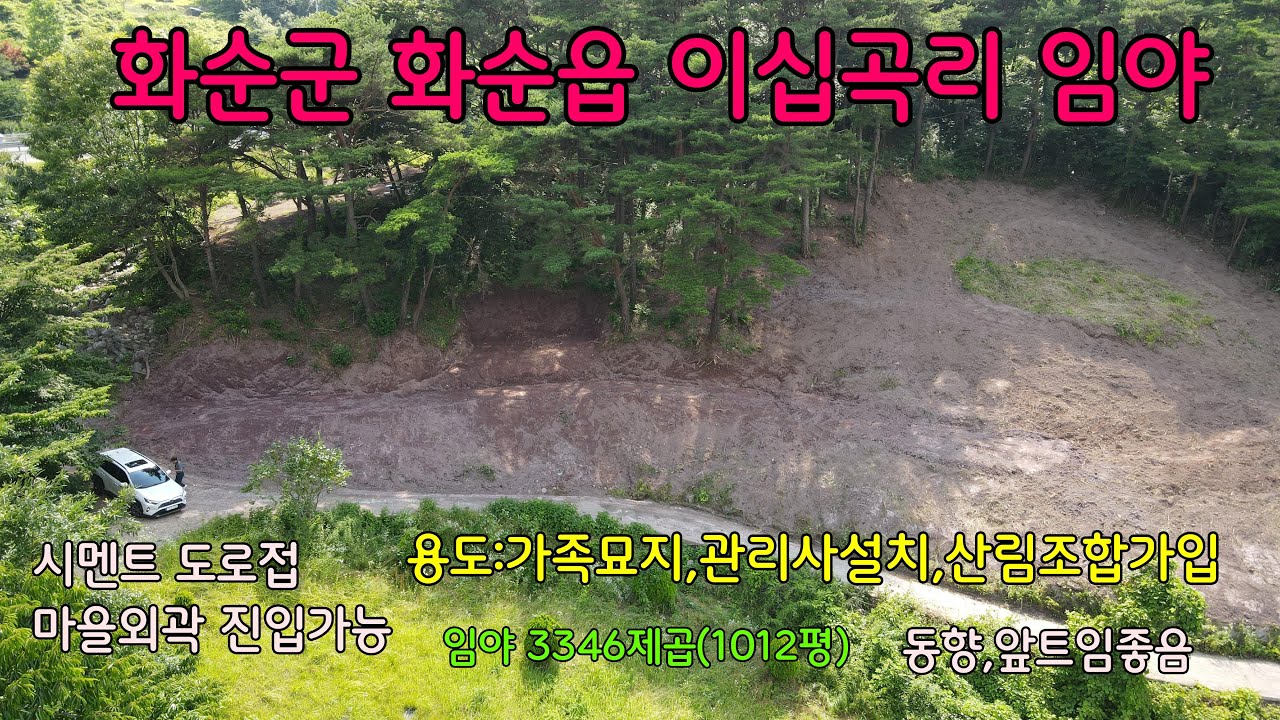 광주근교 임야 /  소태동10분거리/ 화순군 화순읍 이십곡리 임야 3346제곱(1012.16평) 매매가 6,000만원