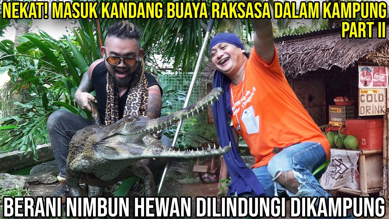 NEKAT MASUK KANDANG BUAYA  DALAM KAMPUNG PART II BERANI NIMBUN HEWAN DILINDUNGI DI KAMPUNG SATWA