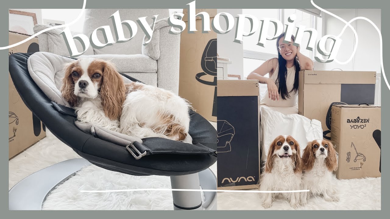 STROLLER CARSEAT BABY SWING SHOPPING // Does Milton approve? Baby Series