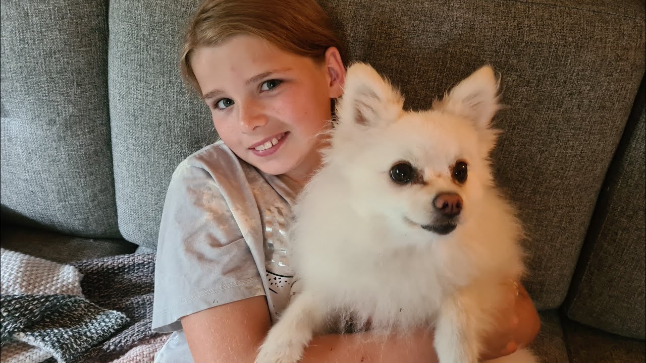 Fluffy blev væk i sommerhuset i mørket🐩Vi leder efter Fluffy 😥