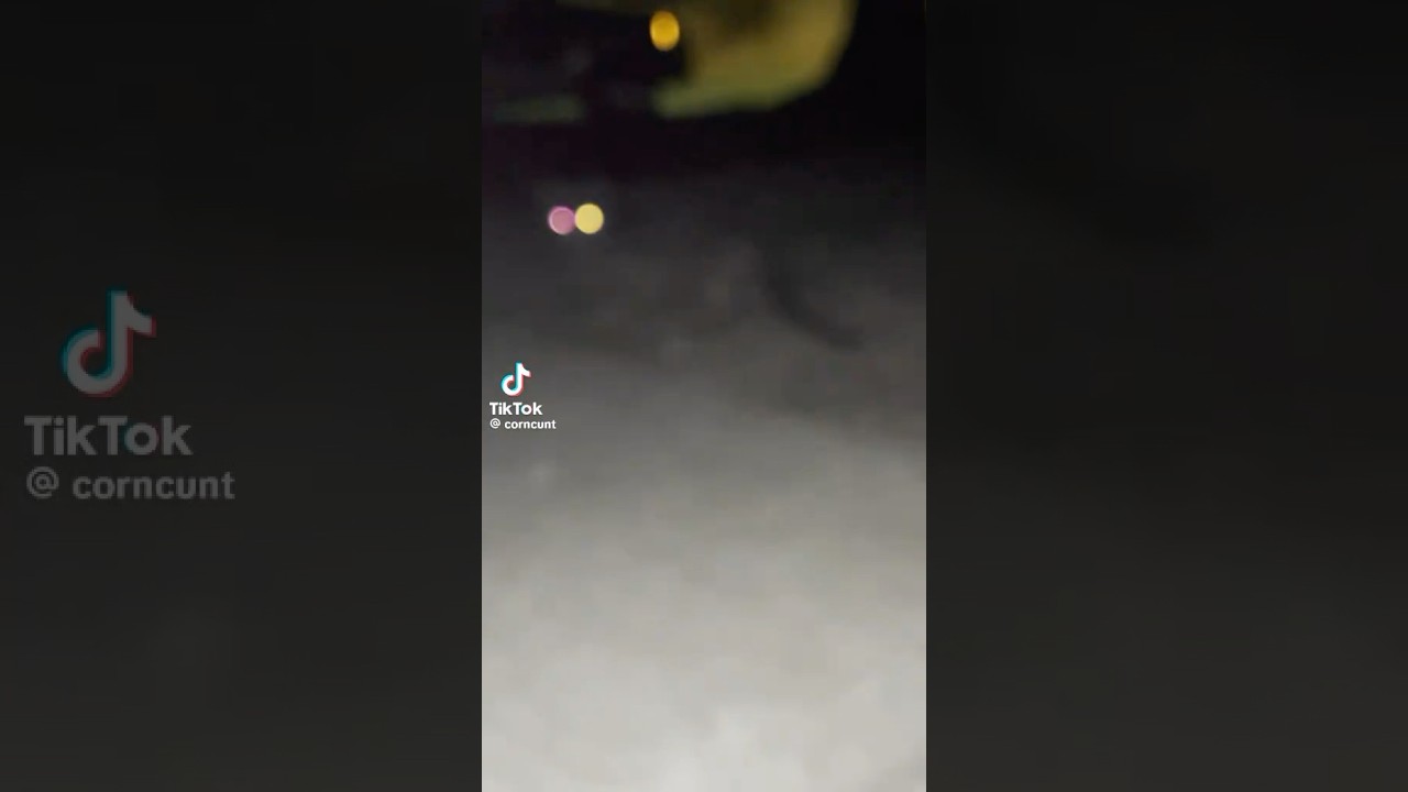 Spamton Cat #tiktok @corncunt #funny #meme #twitter #vines #deltarune