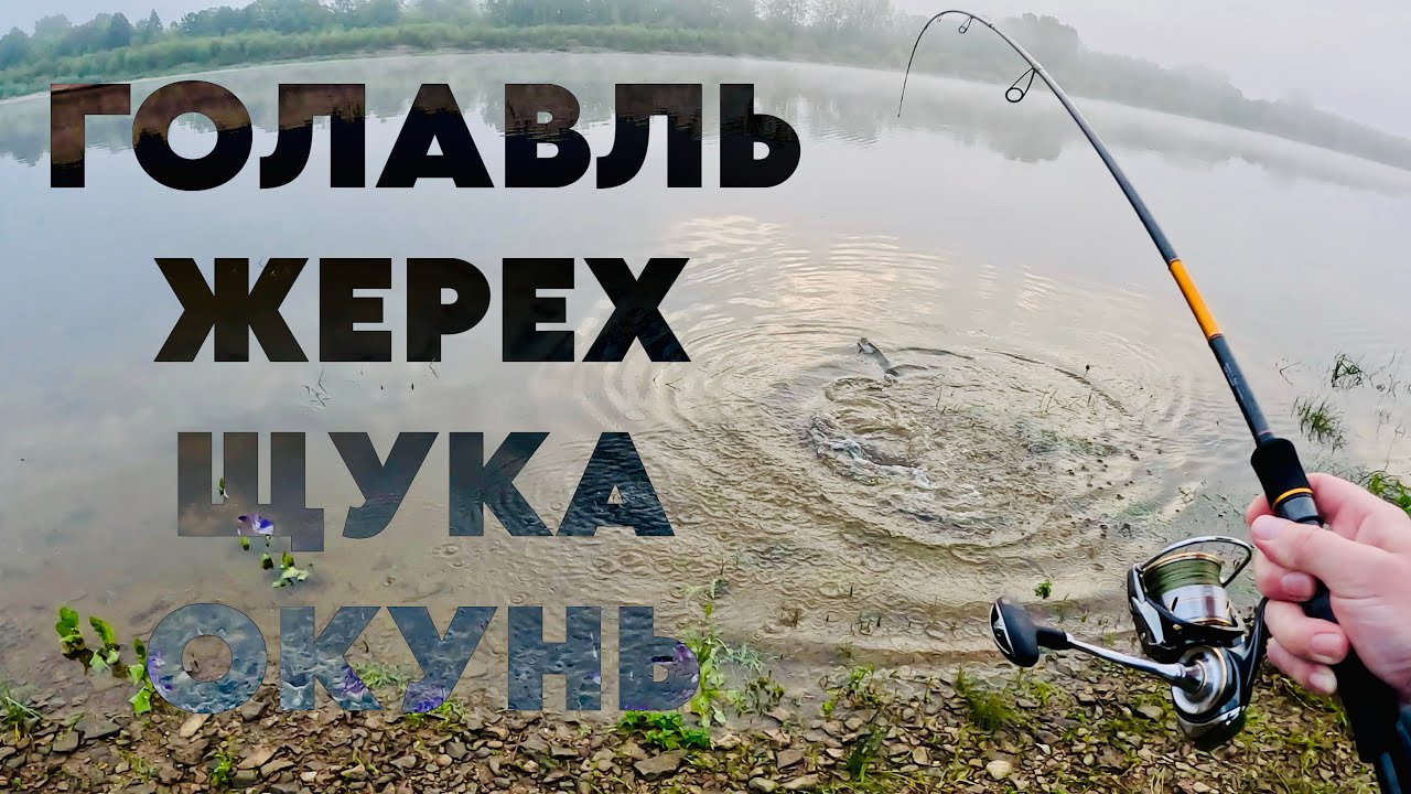 РАЗРЫВНАЯ РЫБАЛКА на Вятке! Жерех, голавль, щука и окуни устроили шоу!