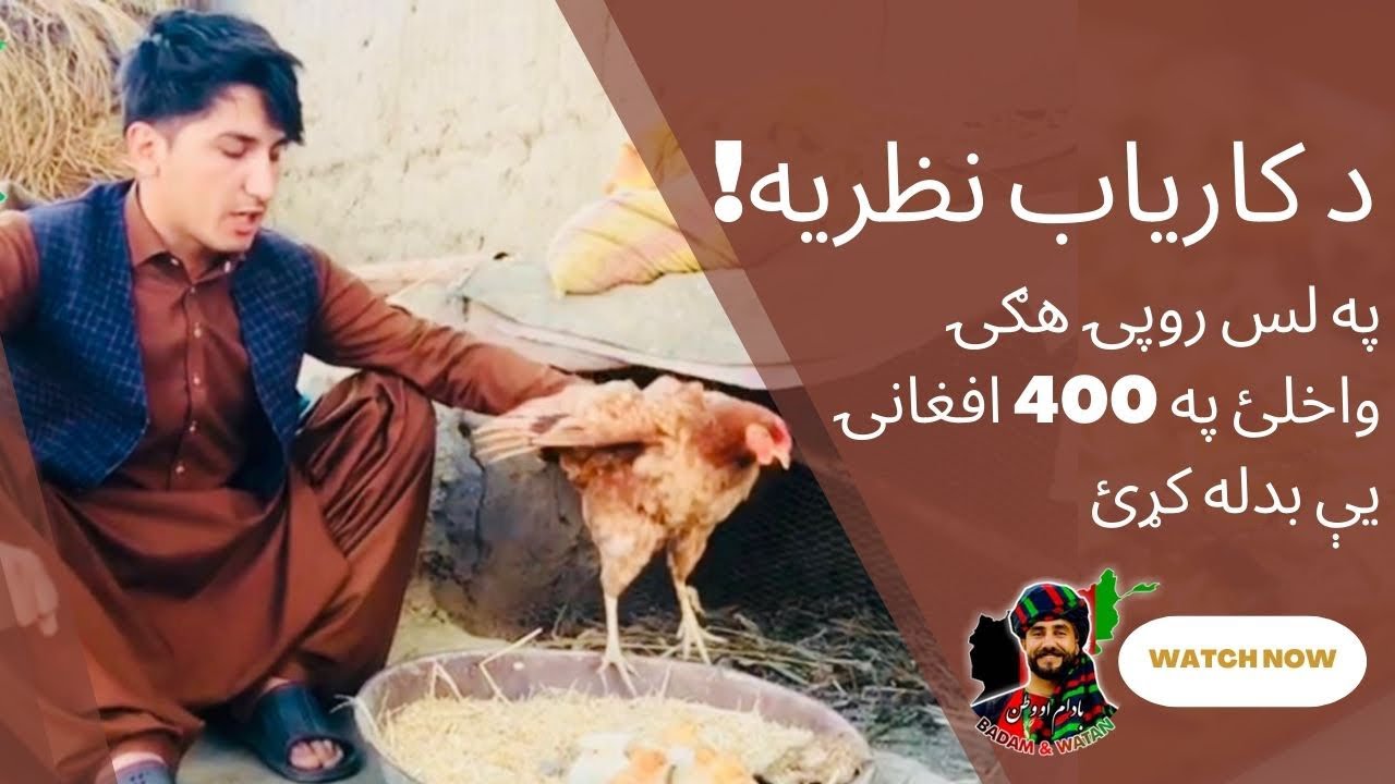 Karyab's Idea: Buy 10 Af egg change into 400,لس افغانۍ هګۍ په ۴۰۰ بدلې کړئ 😃