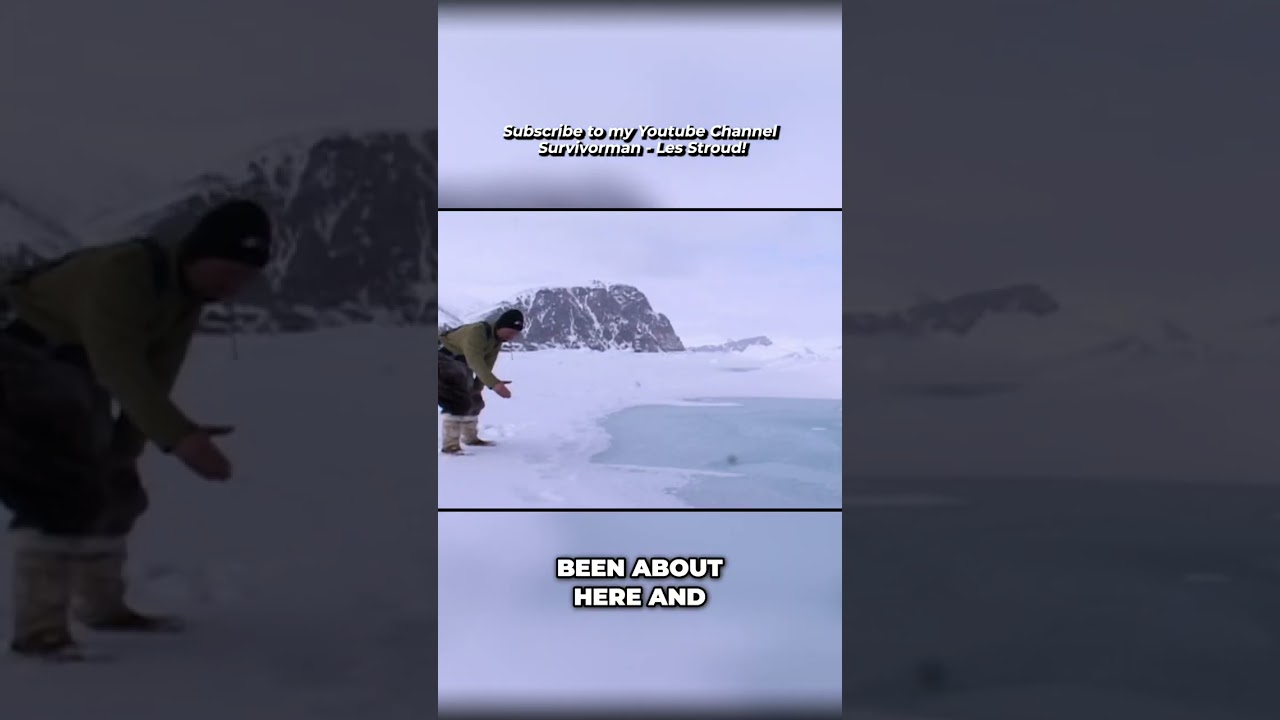Survivorman | A Close Call With a Polar Bear | Les Stroud