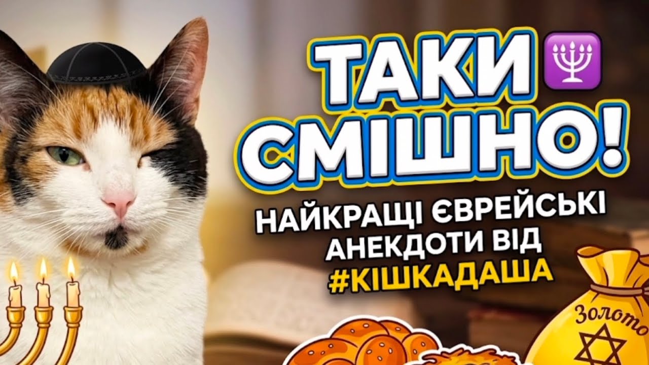 Таки смішно! 🕎 Найкращі єврейські анекдоти для гарного вечора 😂 #кішкадаша #гумор #анекдоти