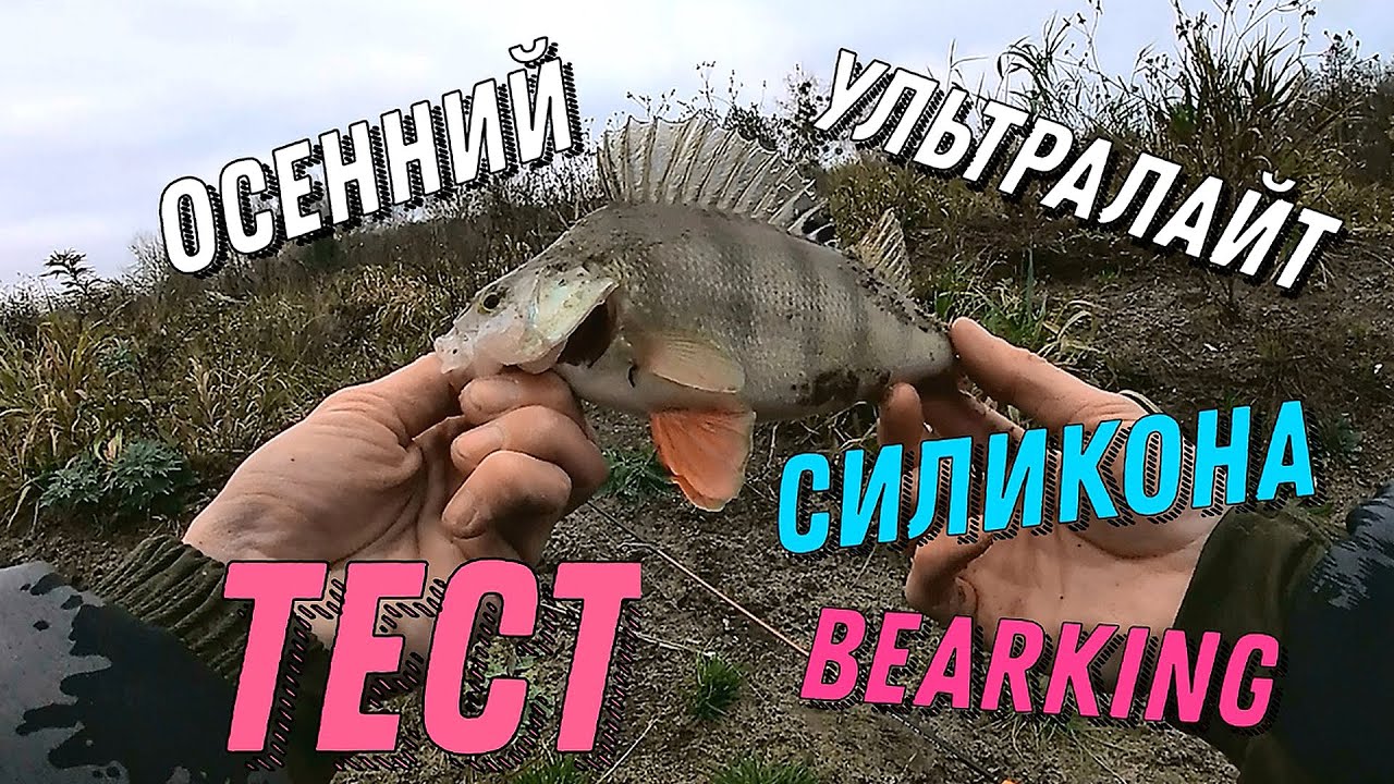 Тест Силикона Беркинг Осенний Ультралайт