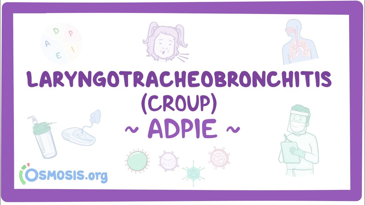 Laryngotracheobronchitis (LTB) & croup: Nursing Process (ADPIE)