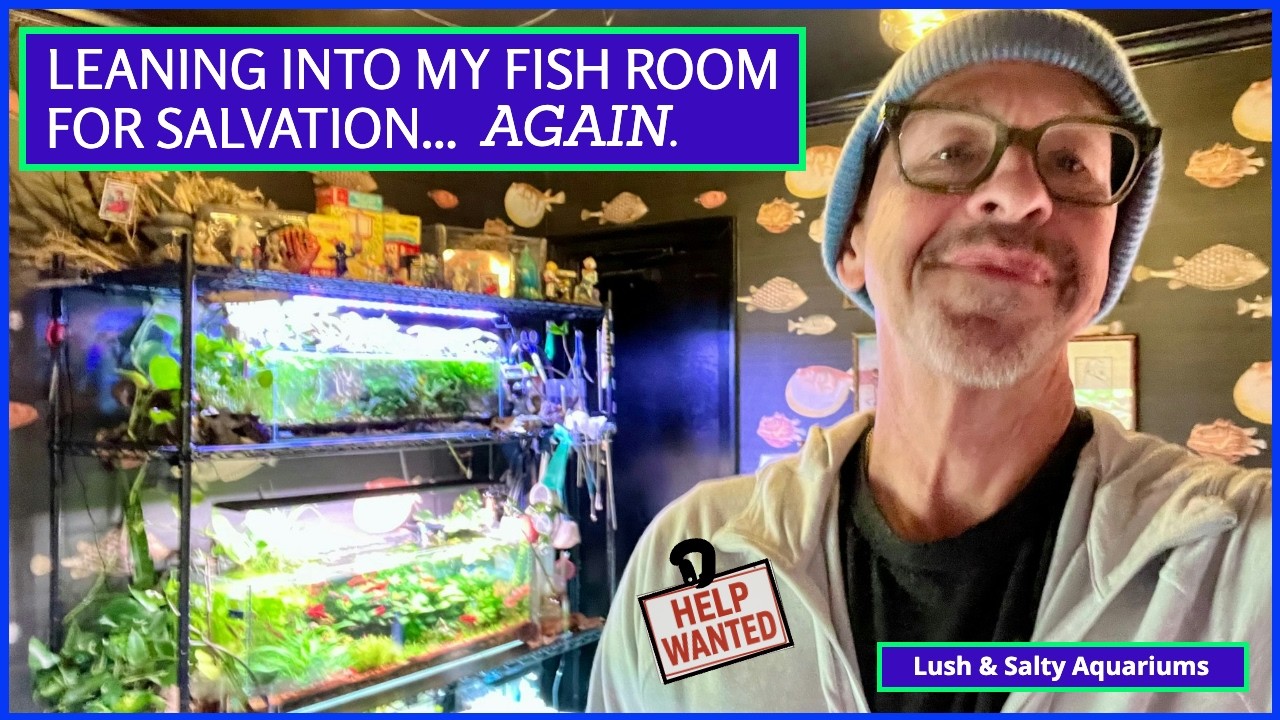 Mighty Fish Room снова меня спасает!