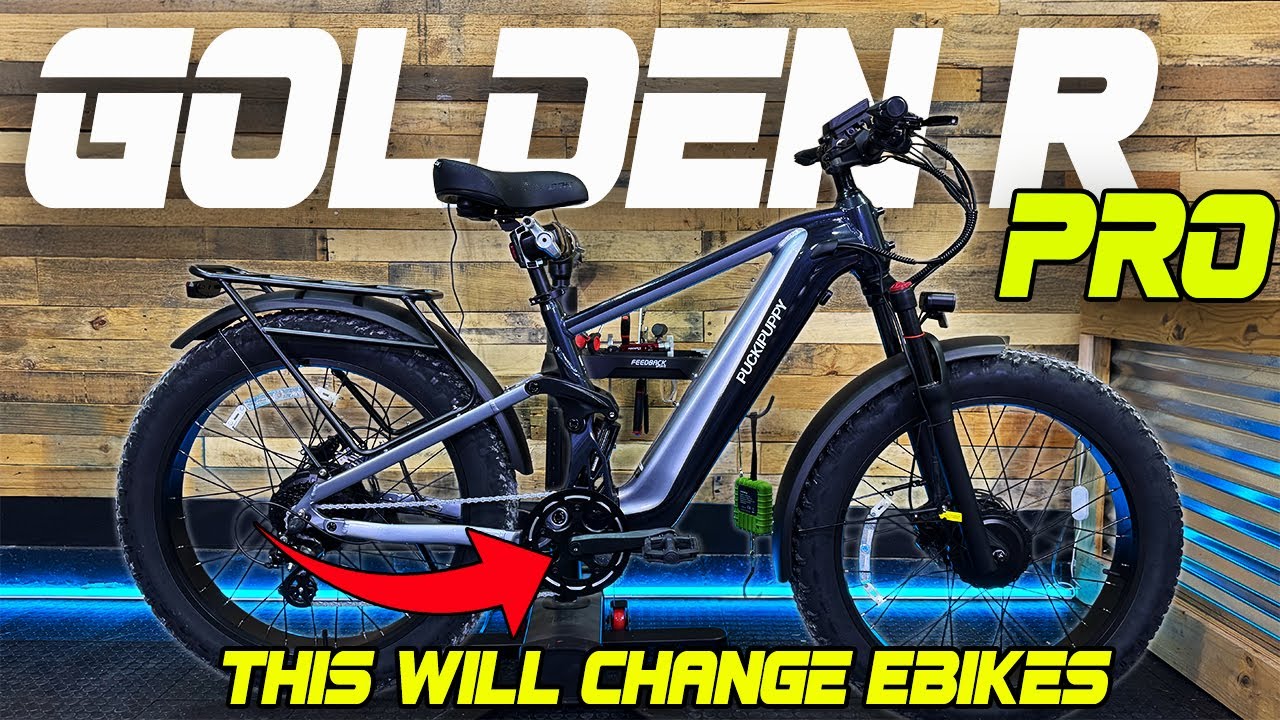 Мощность двух моторов… Средняя цена. Не ожидал такого. PuckiPuppy Golden R Pro