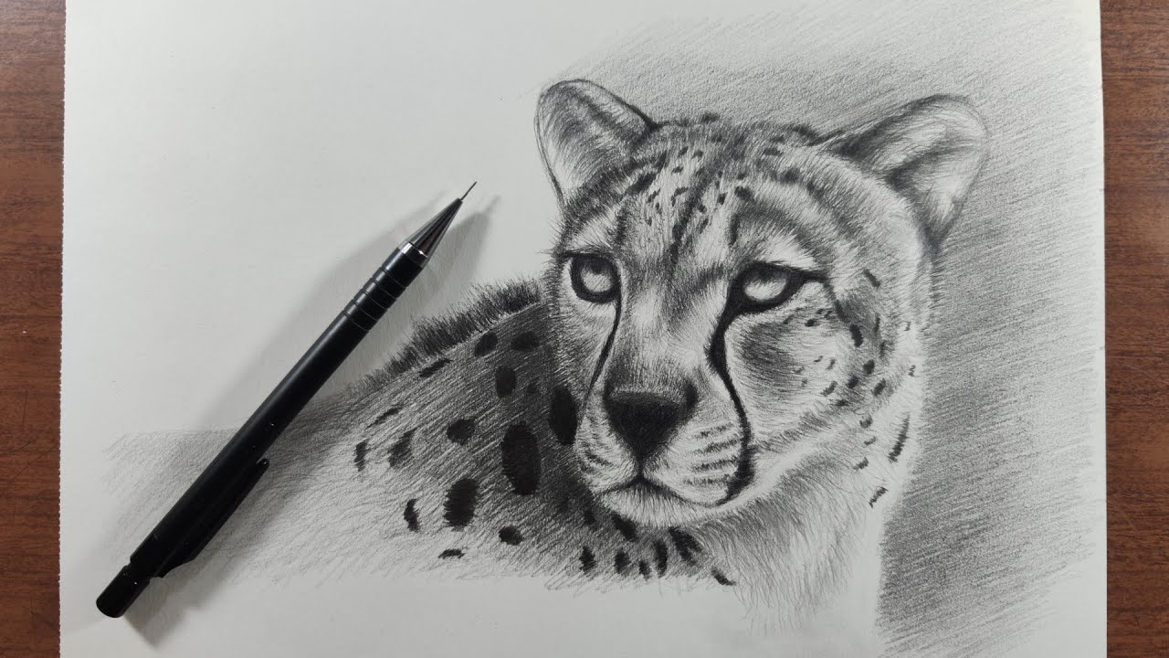 Cómo Dibujar un Guepardo Realista a Lápiz Paso a Paso - (Muy Fácil)