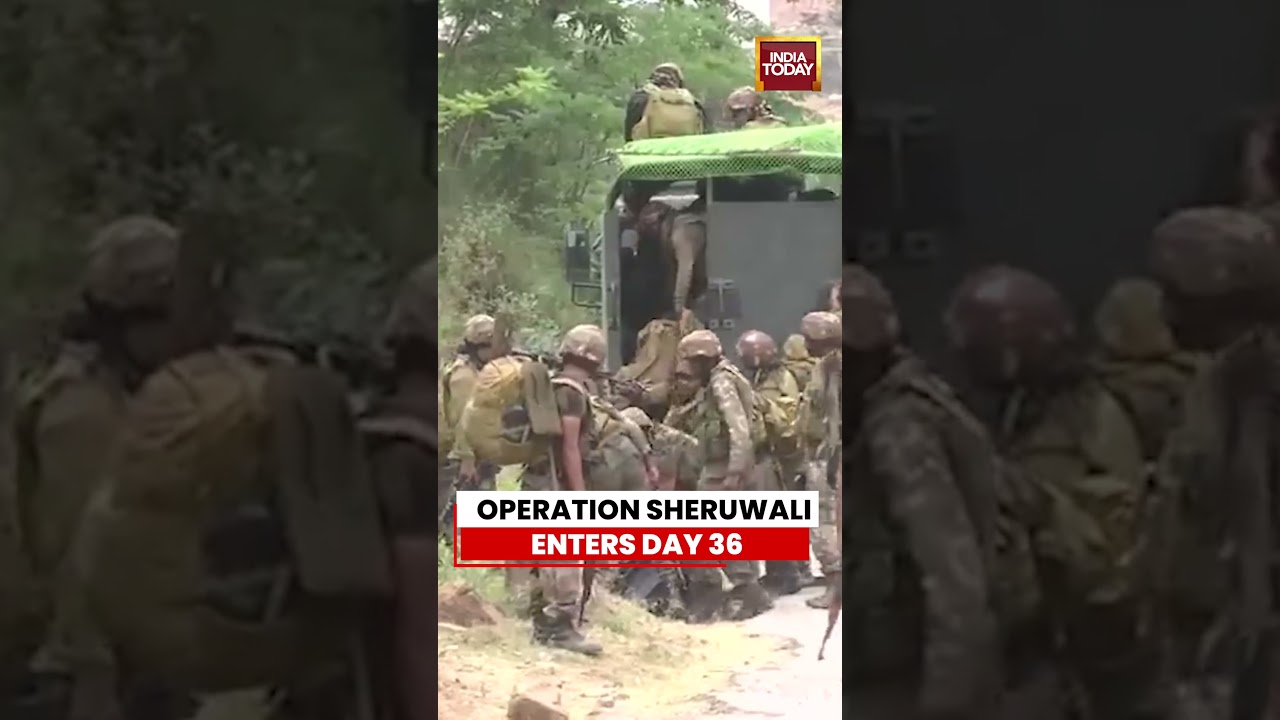 Operation Sheruwali Enters Day 36 In Rajouri | Massive Anti-Terror Search Operation Continues