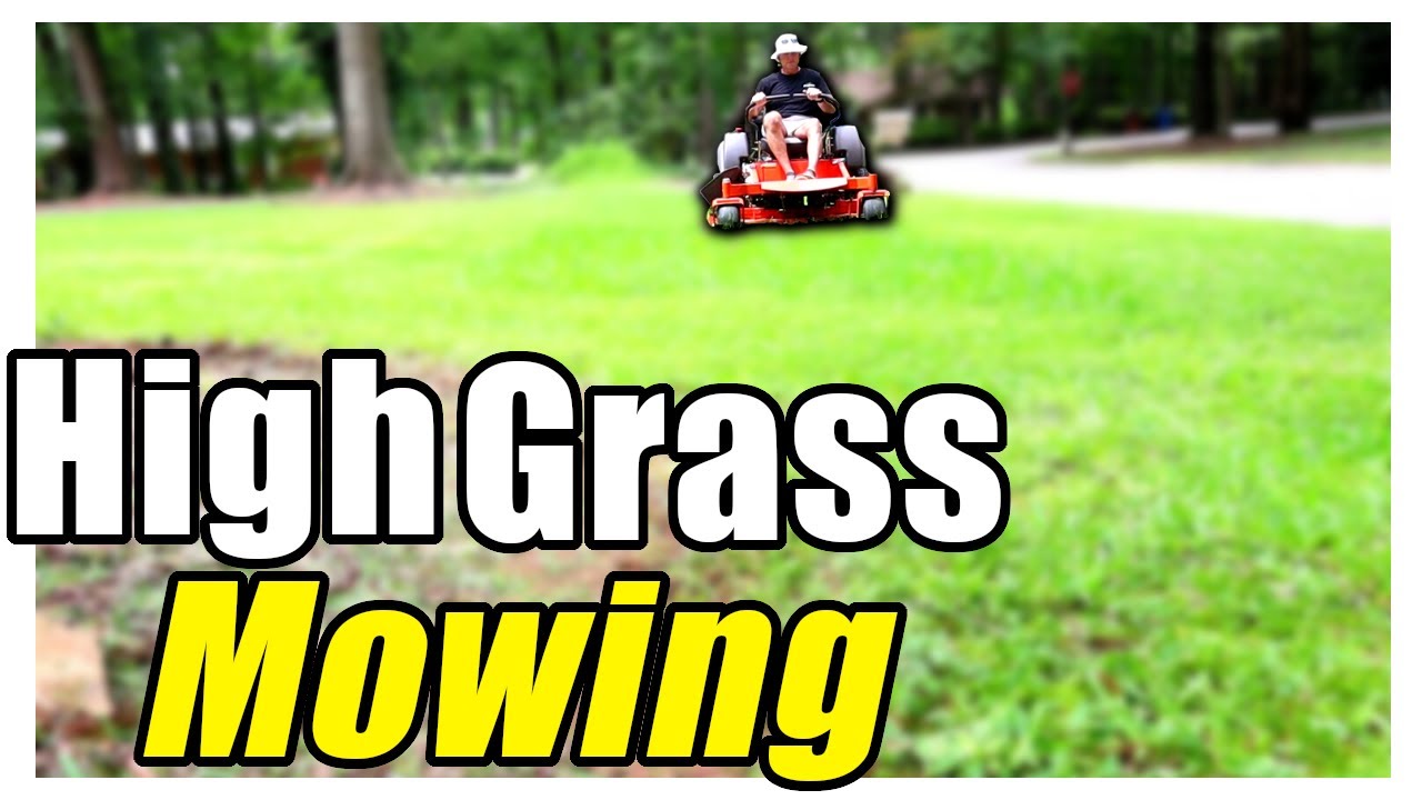 High Lawn Grass Cut | Satisfying Lawn Care and Maintenance | Calming Mowing and Cleanup