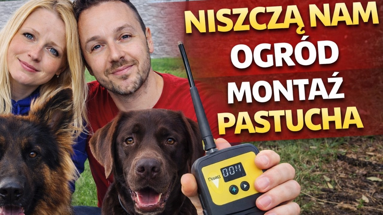 Montujemy pastuch elektryczny dla psów. Czy to była dobra decyzja?