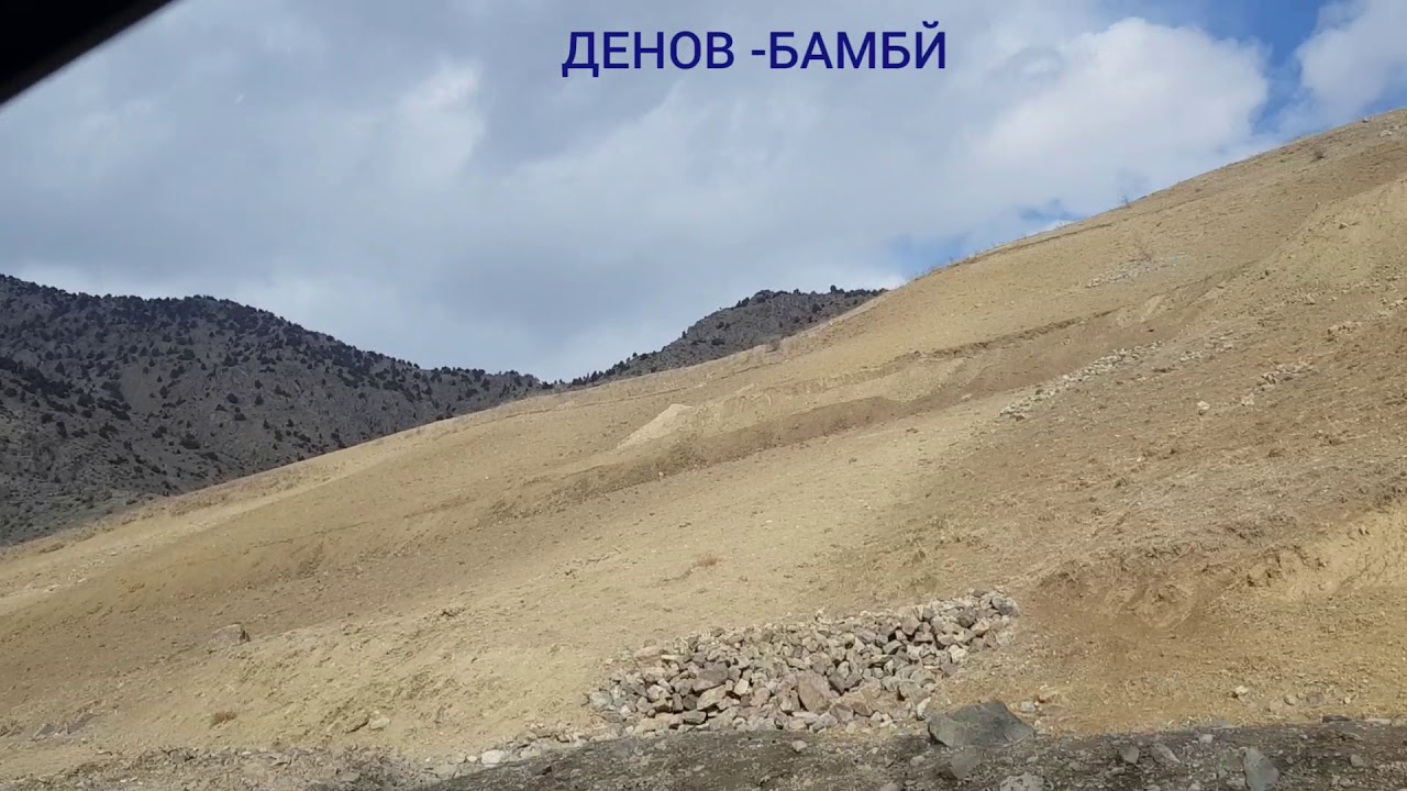 #Денов #Бамбей