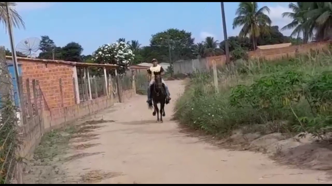 Quinho manu no seu cavalo rio negro