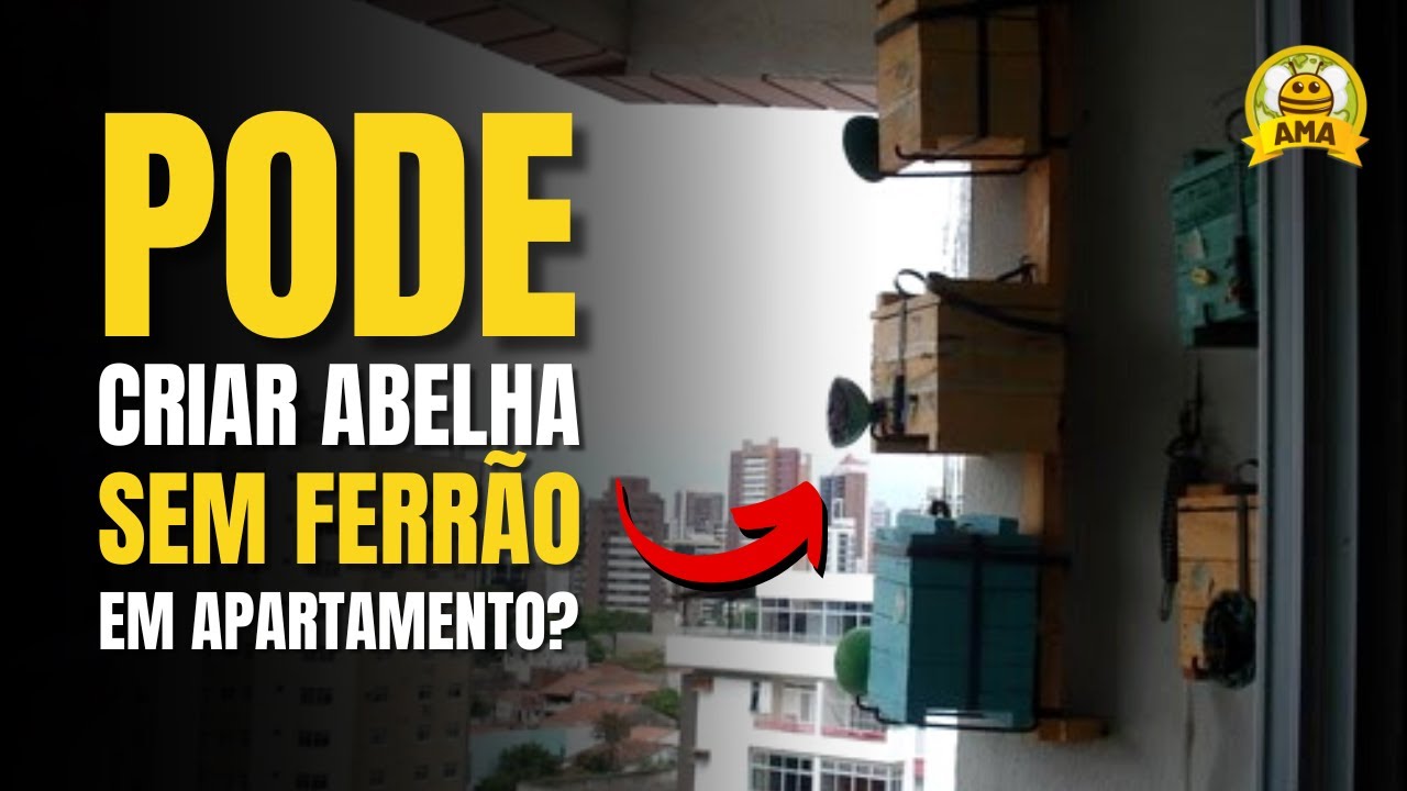 PODE criar abelha sem ferr&atilde;o em APARTAMENTO?