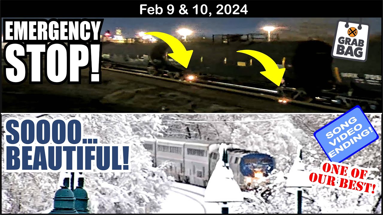 ONE OF OUR BEST GRAB BAGS! EMERGENCY STOP, 6 DARWINS, SNOW & TRAINS & SONG & FLIGHT