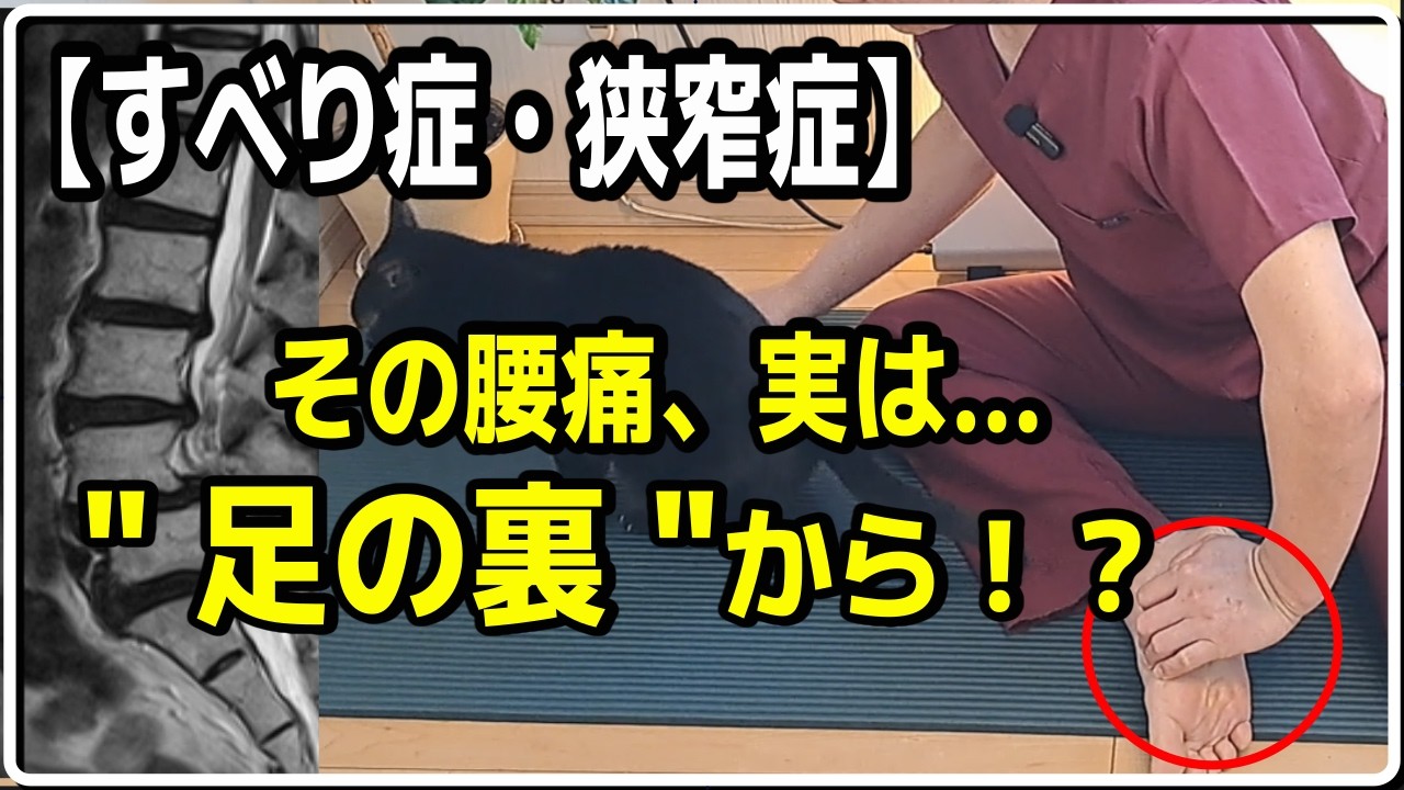 【すべり症・狭窄症】その腰痛、実は「足の裏」からきてるかも！？