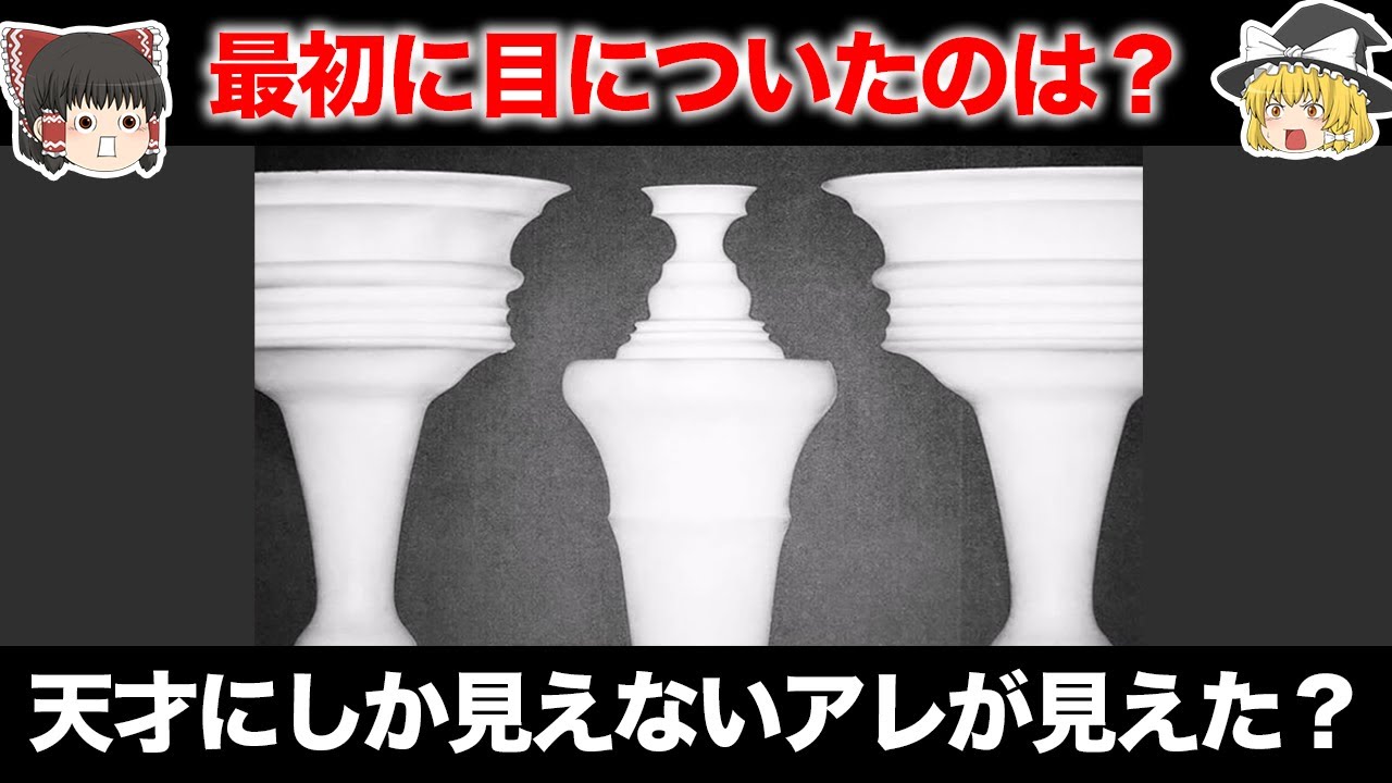 【ゆっくり解説】天才にしか見えない！？錯覚診断クイズ！