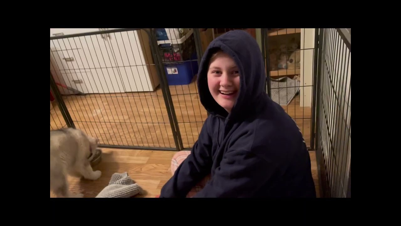 ”The puppies are moving in”