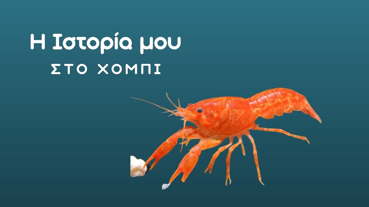 Η Ιστορία μου στο χόμπι
