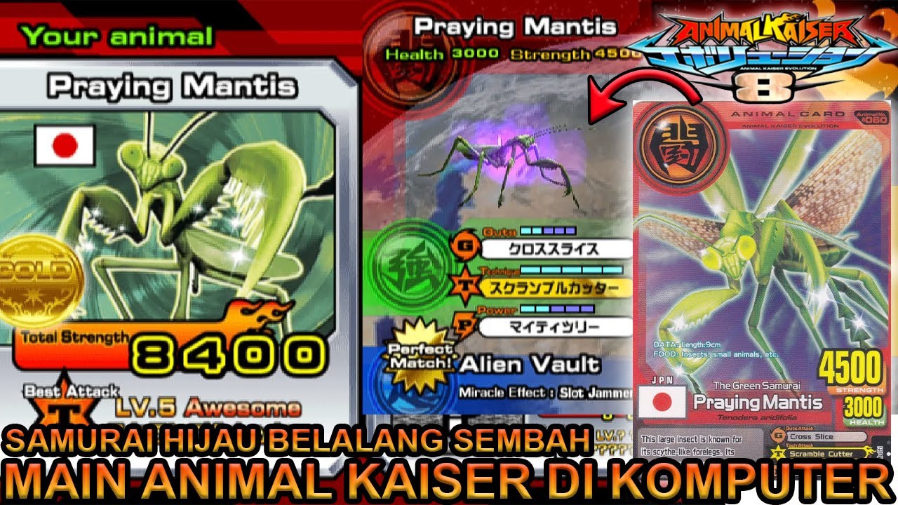 BELALANG INI SEPERTI MENYEMBAH PRAYING MANTIS DI KOMPUTER !!! - ANIMAL KAISER EVOLUTION PC