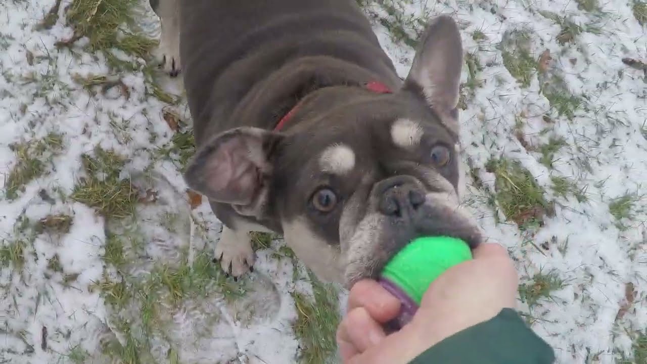 Another snow day