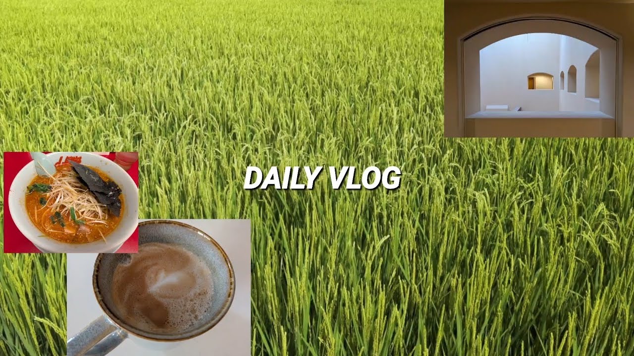 【vlog】Weekend vlog in Japan / healing weekend in rural side