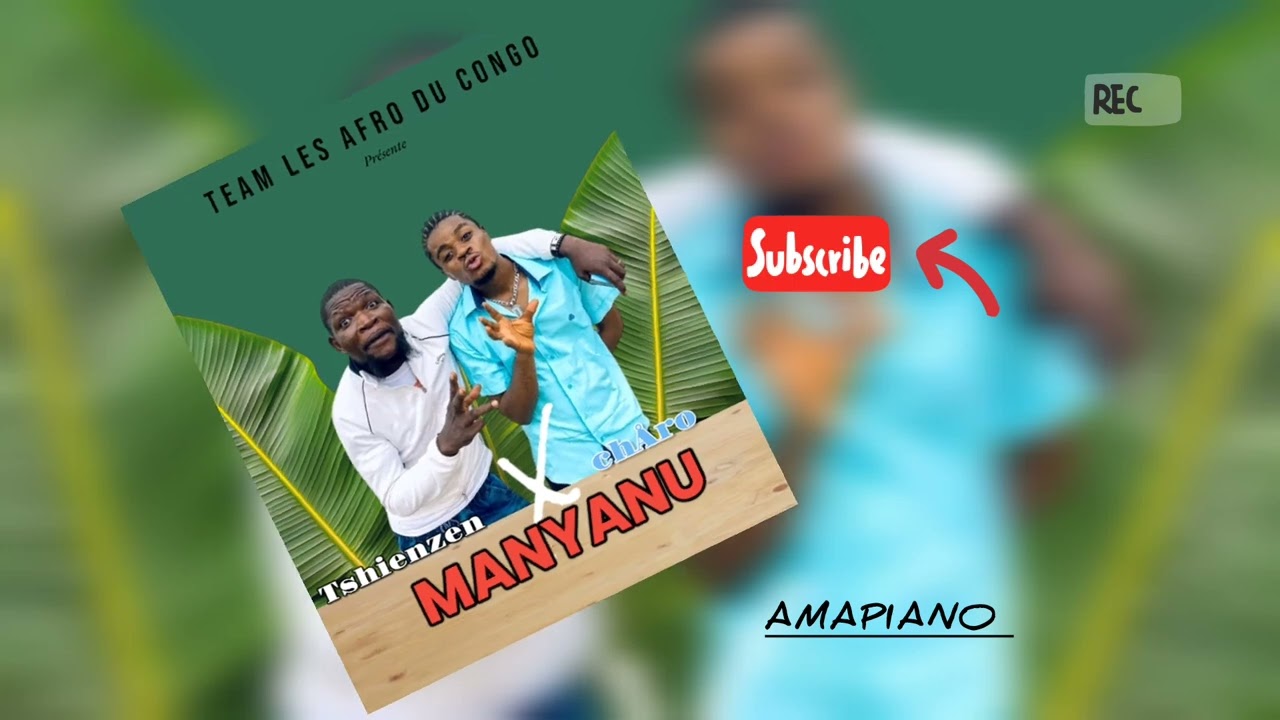 afro chÅro #MANYANU x tshienzen audio