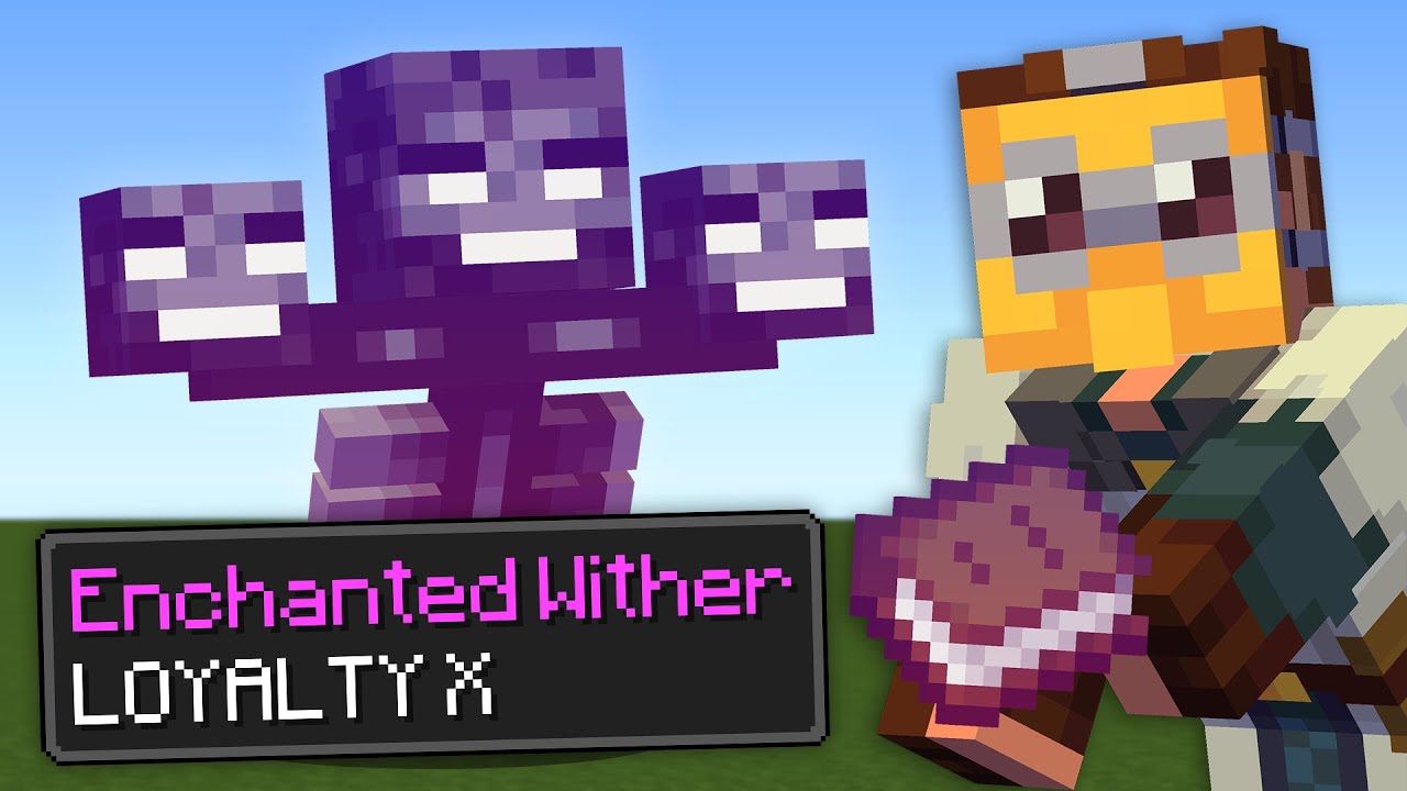 Minecraft But I Can ENCHANT ANY MOB