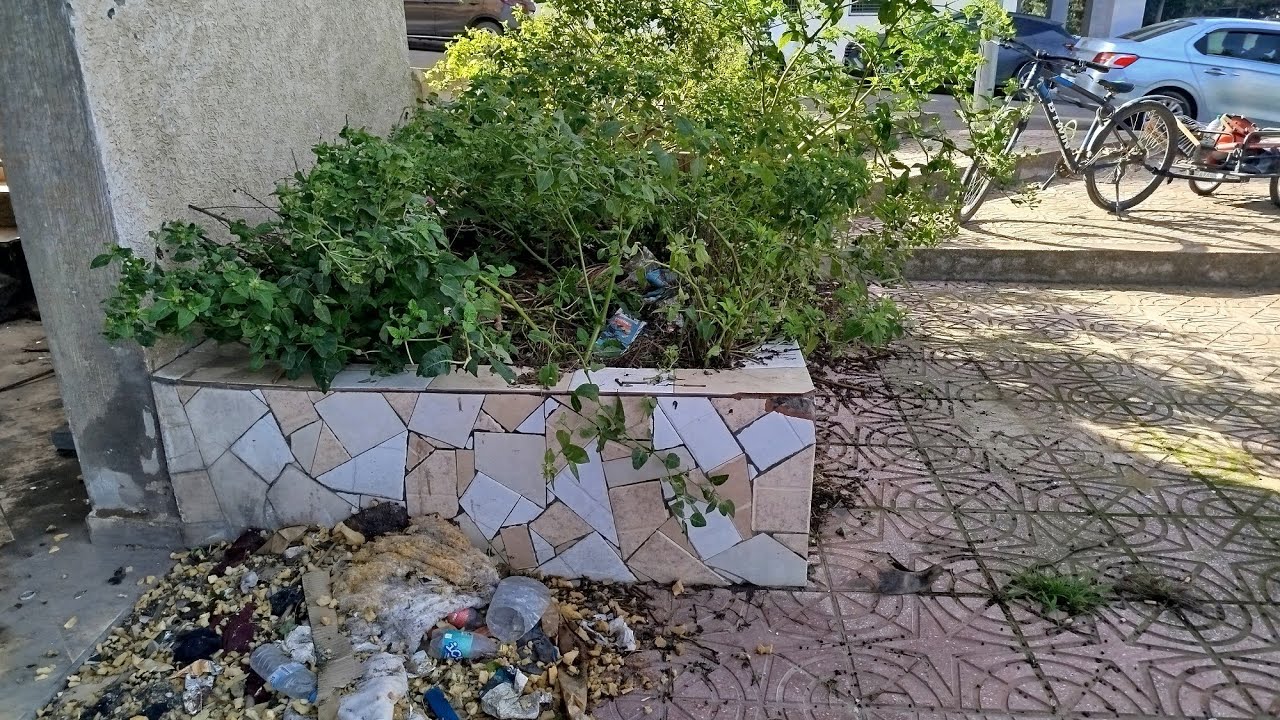 Никто не хотел убирать сад этой доброй леди, поэтому я сделал это бесплатно.