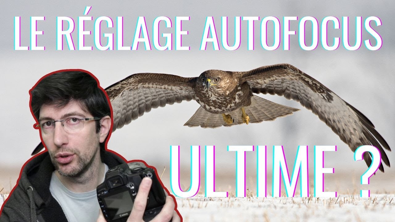 Autofocus : back button, le réglage ultime ?