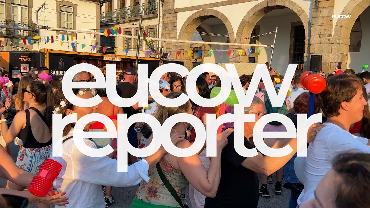 Festa de São João do Porto ( Festival of St John of Porto ) | 2024