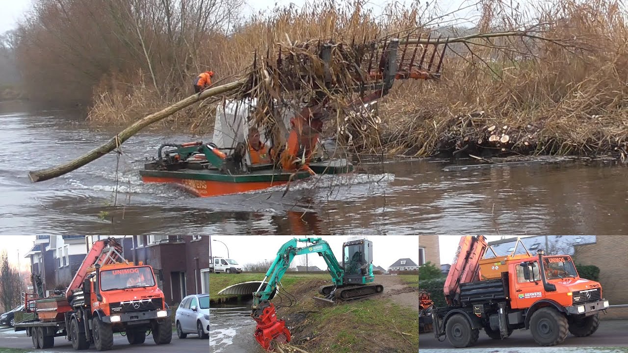 Gerwers cutting trees