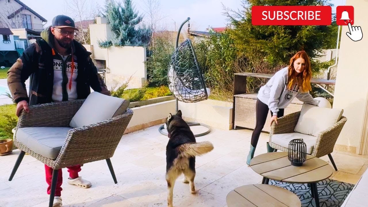 🌱Războiul cu HAOSUL de după iarnă! 💪 Curățenie de primăvară în curte! 🧹☀️”