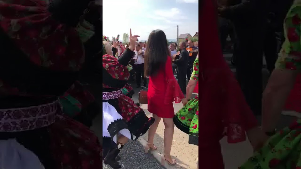 Nunta Certeze Bixad