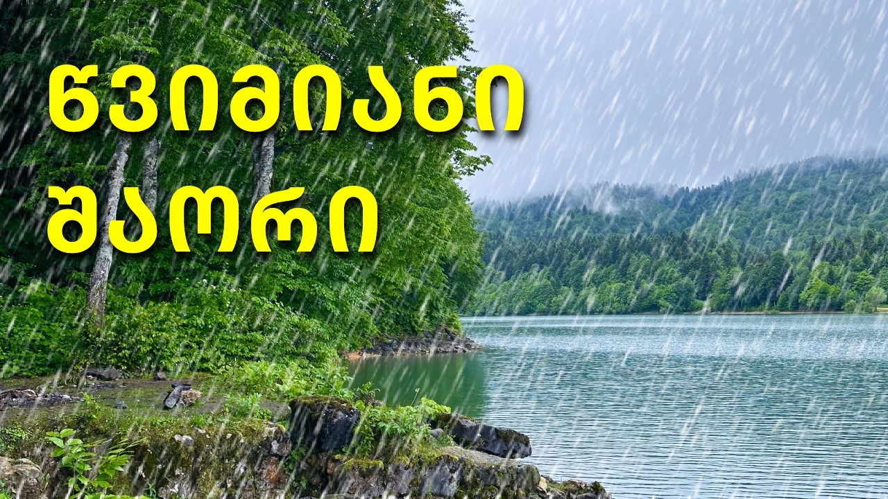 დღე პირველი - წვიმა | შაორი | 2024
