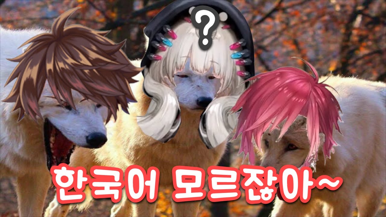 한국식 니지산지 테에테에 을 니지산지 EN에 하는 법