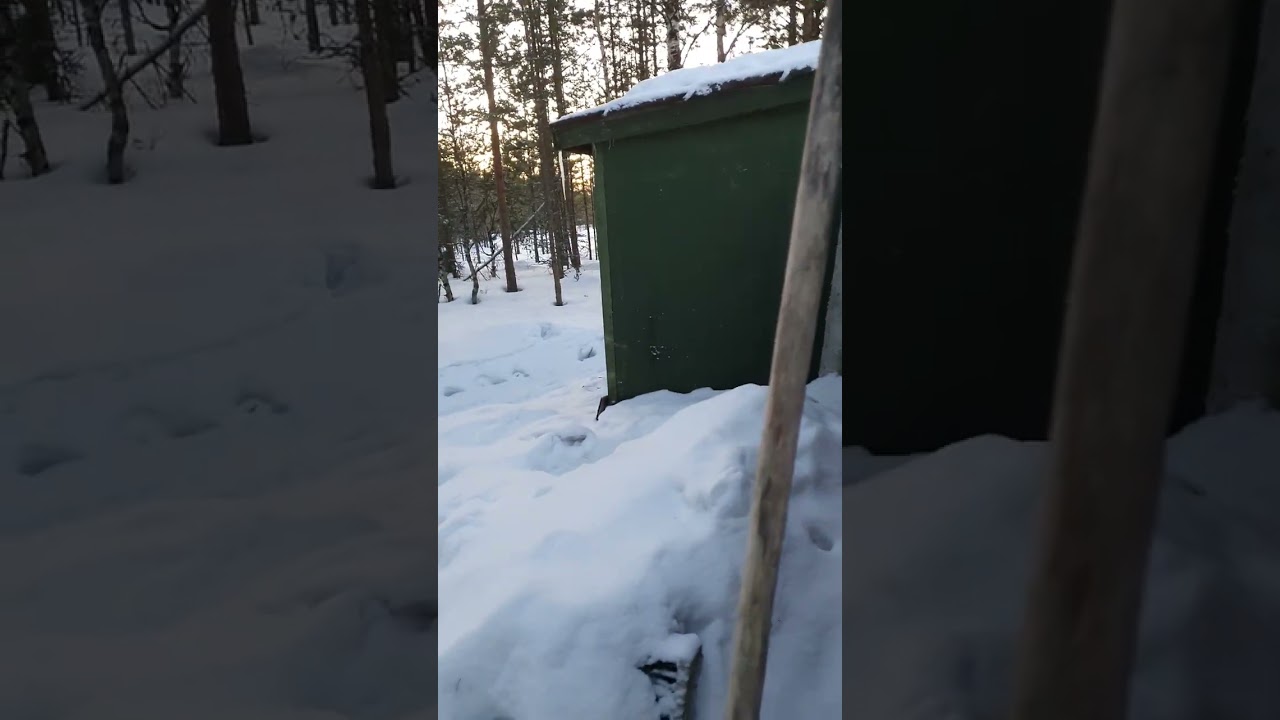 Nature photography Golden Eagle hides in Finland