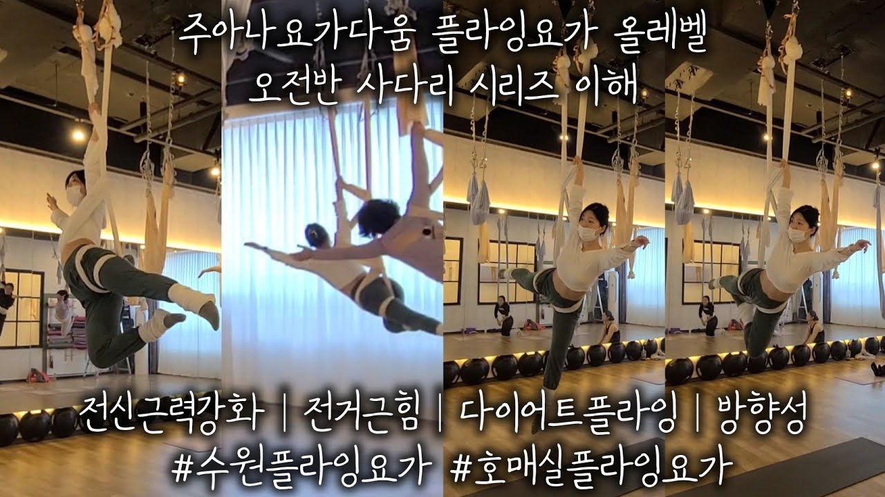 주아나요가다움 플라잉요가 올레벨 : 오전반 사다리 시리즈 이해 전신근력강화│전거근힘│다이어트플라잉│방향성 #수원플라잉요가 #호매실플라잉요가 