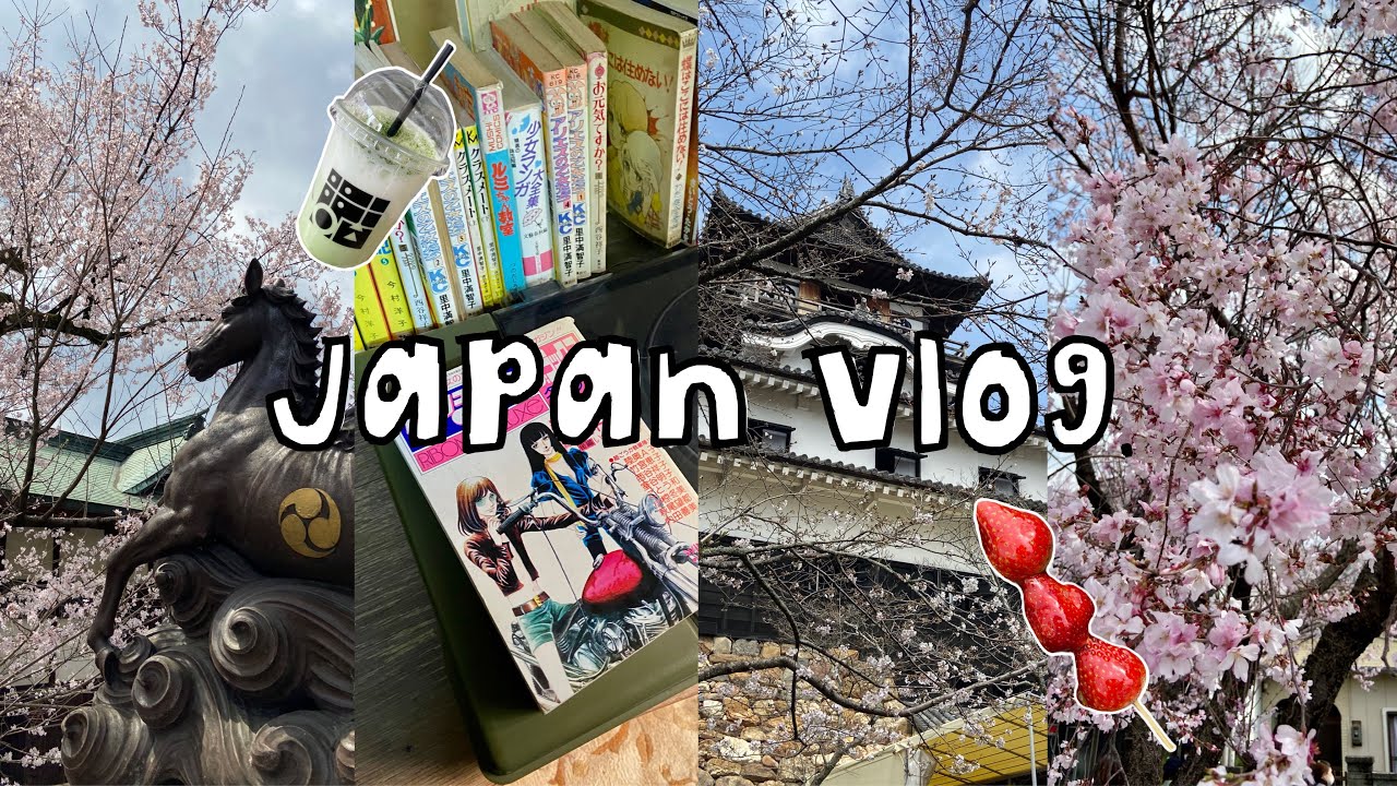 JAPAN VLOG 🍥| takayama & kanazawa, cherry blossoms, shirakawago, what i eat