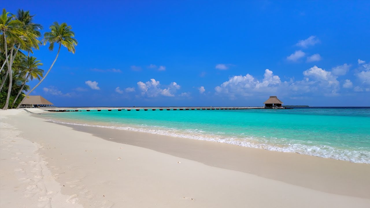 🏝 Scenic Beach View: Island Relaxation From Maldives