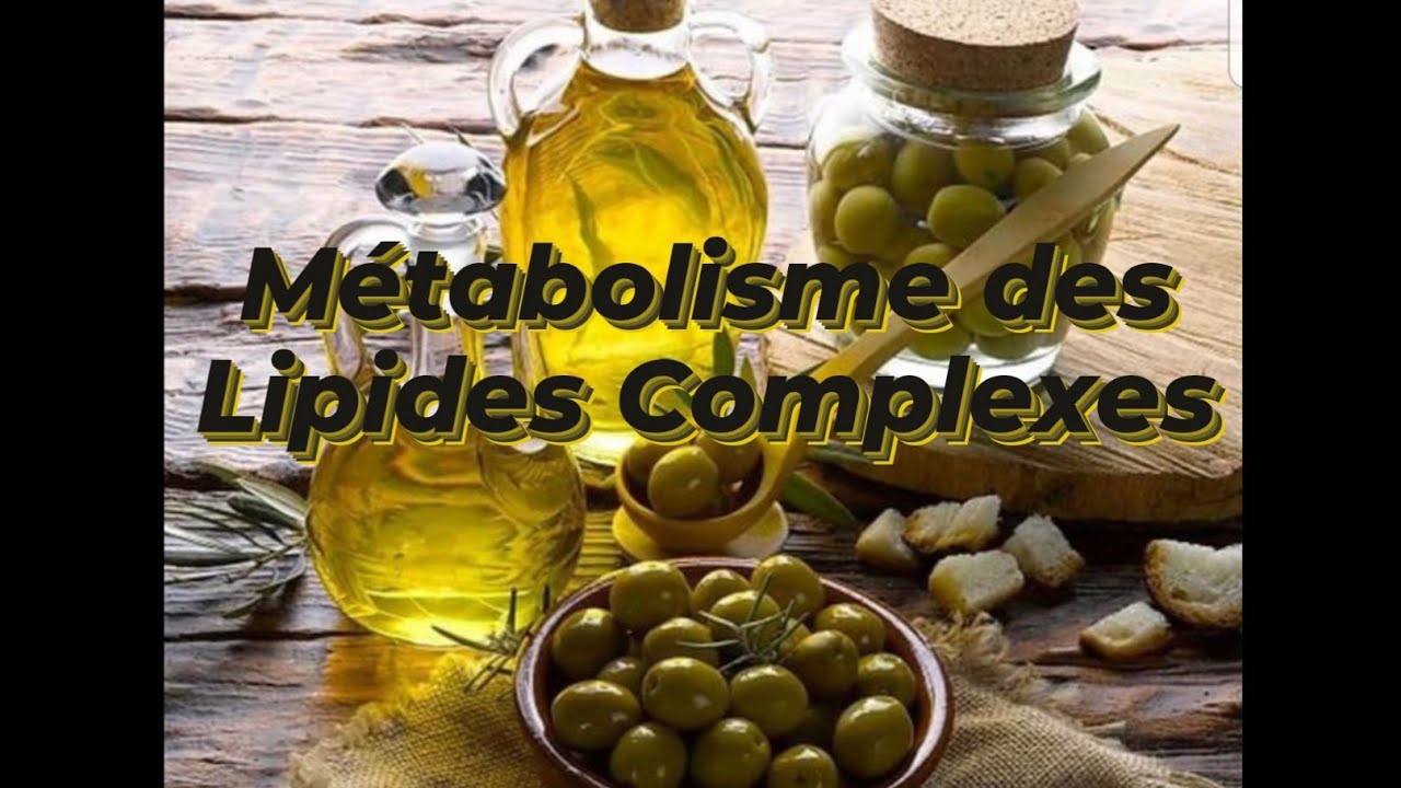 METABOLISME DES LIPIDES COMPLEXES