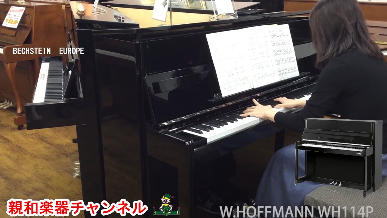 W.HOFFMANN　ホフマン　WH114P　ホフマンプロフェッショナルモデル 　【親和楽器】
